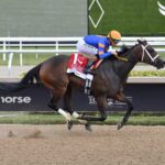 The Queens M G, horse, C Two Racing Stable, Davona Dale Stakes, sábado, 1 de marzo de 2025, Gulsftream Park. Foto: Coglianese Photo