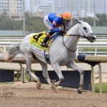 White Abarrio, horse, Race Day, Ghostzapper Stakes, sábado, 29 de marzo de 2025, Gulsftream Park. Foto: Coglianese Photo