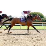 Extra Anejo, horse, Into Mischief, Commonwealth Stakes, martes, 8 de abril de 2024, Keeneland. Foto: Coady Photo
