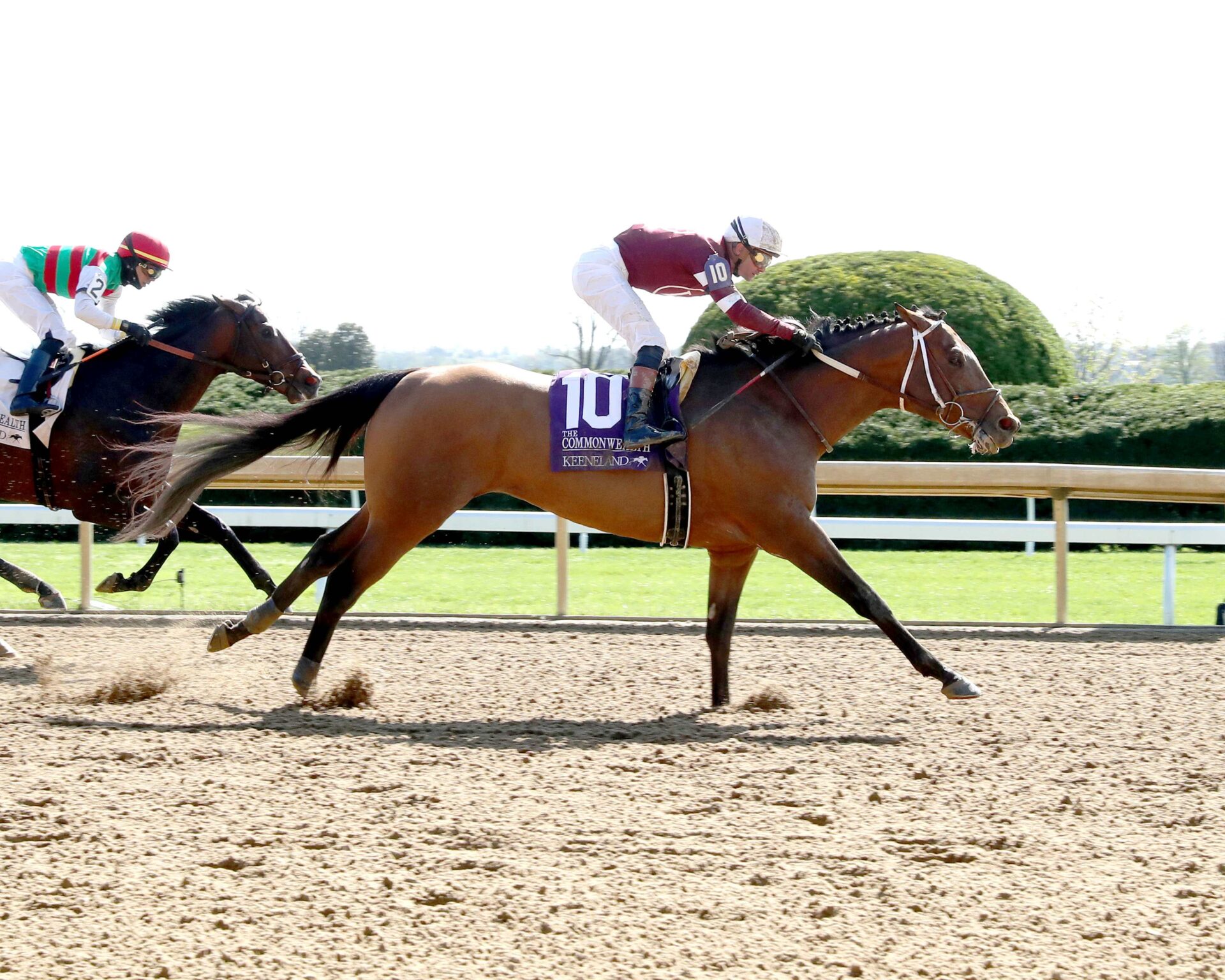 Extra Anejo, horse, Into Mischief, Commonwealth Stakes, martes, 8 de abril de 2024, Keeneland. Foto: Coady Photo