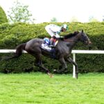 Forever After All, horse, Connect, Bewitch Stakes, viernes, 25 de abril de 2025, Keeneland. Foto: Coady Media