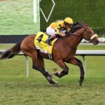 Far Bridge, horse, Calumet Farm, Pan American Stakes, sábado, 29 de marzo de 2025, Gulsftream Park. Foto: Coglianese Photo