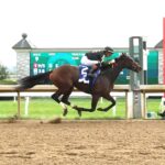 Gin Gin, horse, Calumet Farm, Baird Dobledogdare Stakes, viernes, 18 de abril de 2025, Keeneland. Foto: Coady Media