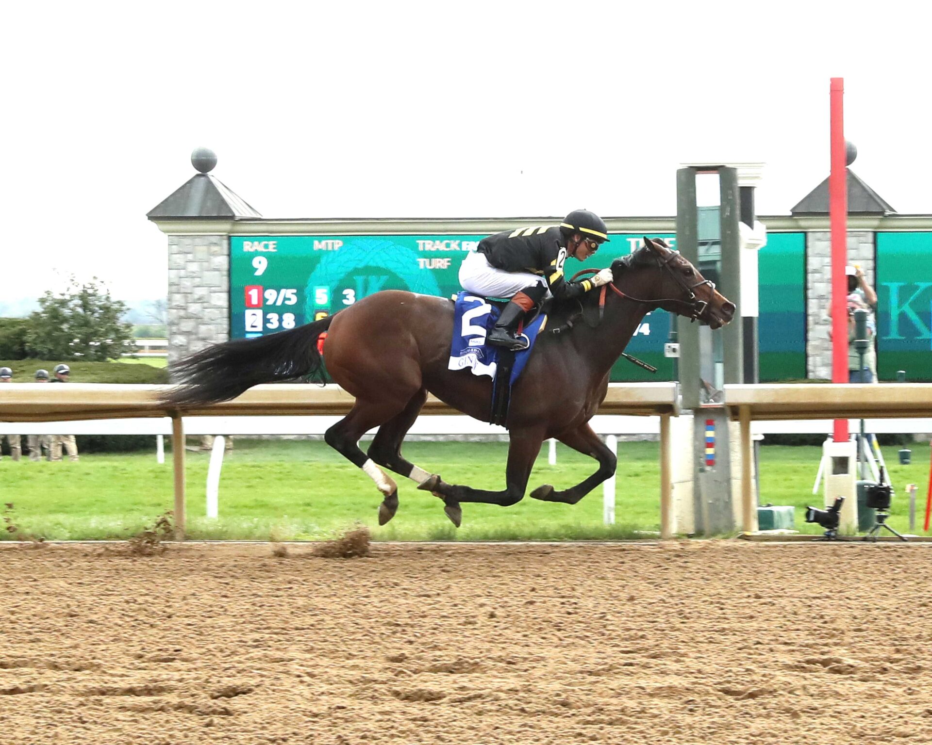Gin Gin, horse, Calumet Farm, Baird Dobledogdare Stakes, viernes, 18 de abril de 2025, Keeneland. Foto: Coady Media