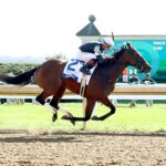 La Cara, horse, Street Sense, Central Bank Ashland, lunes, 7 de abril de 2025, Keeneland. Foto: Coady Photo