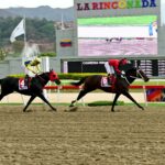 Li Tre Fratelli, horse, Haras Urama, Clásico Presidente de la República, domingo, 20 de abril de 2025, La Rinconada. Foto: José Antonio Aray
