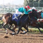 Mí Clásica, horse, Classic Empire, Clásico Alberto Vial Letelier, sábado, 26 de abril de 2025, Hipódromo Chile. Foto: Jaime Cortés