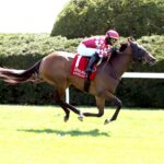 Nitrogen, horse, D. J. Stable LLC, Appalachian Stakes, martes, 8 de abril de 2025, Keeneland. Foto: Coady Media
