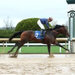Normandy Coast, horse, Haymarket LLC, Palisades Stakes, domingo, 6 de abril de 2025, Keeneland. Foto: Coady Media
