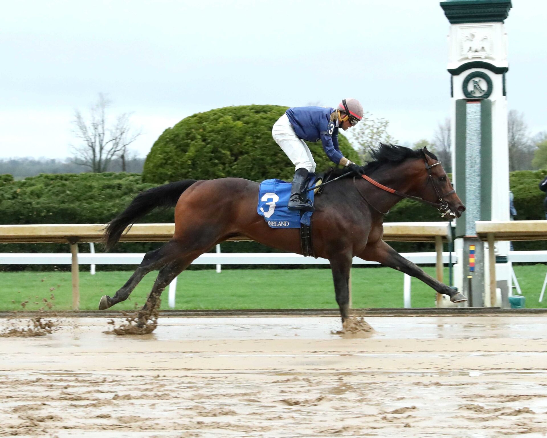 Normandy Coast, horse, Haymarket LLC, Palisades Stakes, domingo, 6 de abril de 2025, Keeneland. Foto: Coady Media