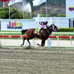 Prometheus, horse, Haras Los Samanes, Clásico Juan Vicente Tovar, domingo, 13 de abril de 2025, La Rinconada. Foto: José Antonio Aray