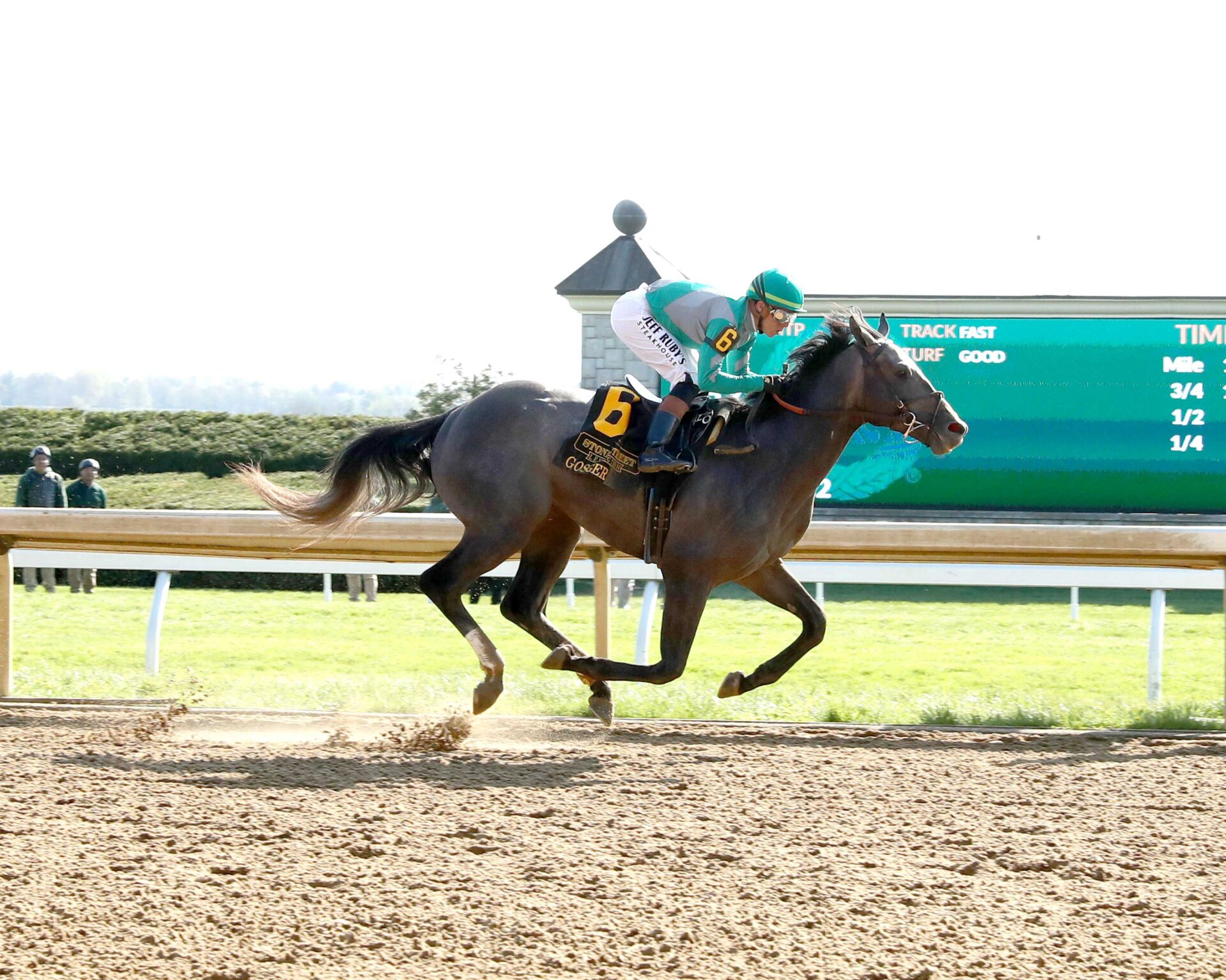 Gosger, horse, Harvey A. Clarke Racing Stable, Stonestreet Lexington Stakes, sábado, 12 de abril de 2025, Keeneland. Foto: Coady Media