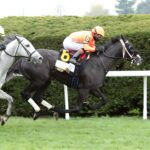 Shisospicy, horse, Mitole, Fanduel Limestone Stakes, viernes, 11 de abril de 2025, Keeneland. Foto: Coady Photo