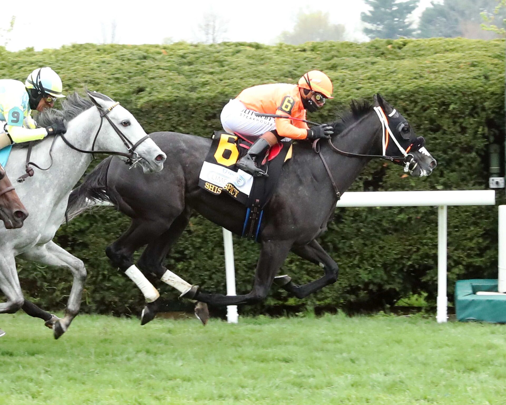 Shisospicy, horse, Mitole, Fanduel Limestone Stakes, viernes, 11 de abril de 2025, Keeneland. Foto: Coady Photo