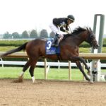 Tennessee Lamb, horse, Calumet Farm, Ben Ali Stakes, sábado, 19 de abril de 2025, Keeneland. Foto: Coady Media