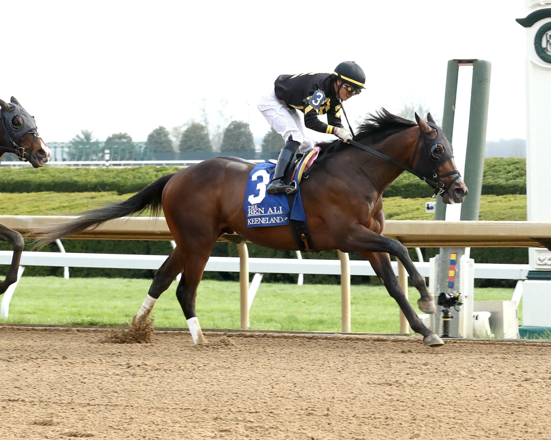 Tennessee Lamb, horse, Calumet Farm, Ben Ali Stakes, sábado, 19 de abril de 2025, Keeneland. Foto: Coady Media
