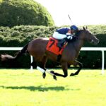Test Score, horse, Lookin At Lucky, Transylvania Stakes, lunes, 7 de abril de 2024, Keeneland. Foto: Coady Photo