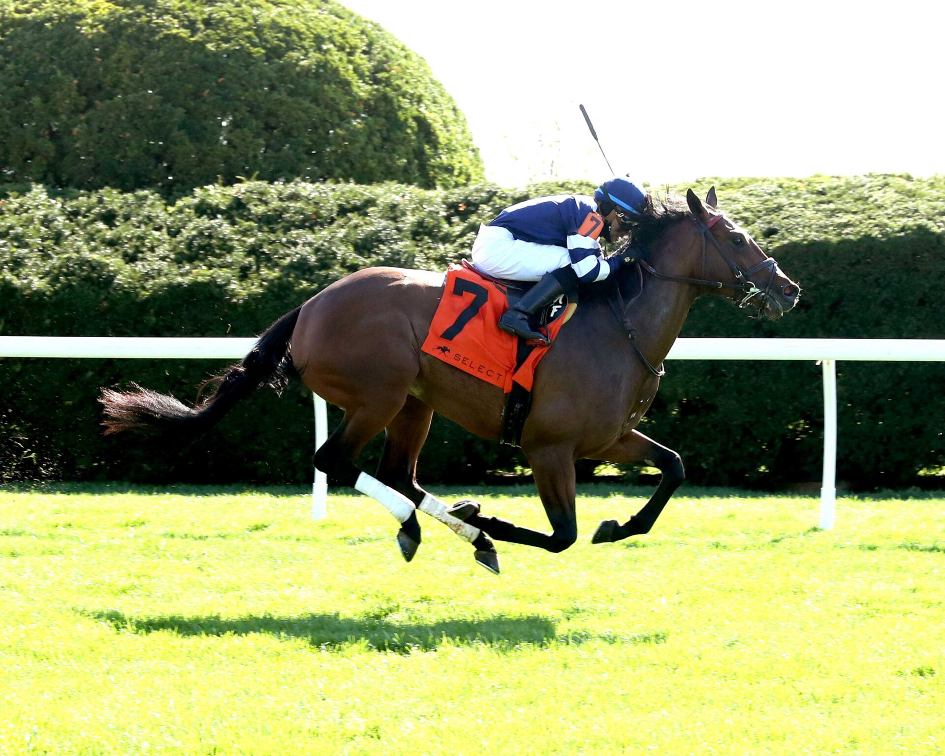 Test Score, horse, Lookin At Lucky, Transylvania Stakes, lunes, 7 de abril de 2024, Keeneland. Foto: Coady Photo