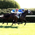 Think Big, horse, Godolphin, Shakertown Stakes, martes, 8 de abril de 2025, Keeneland. Foto: Coady Photo