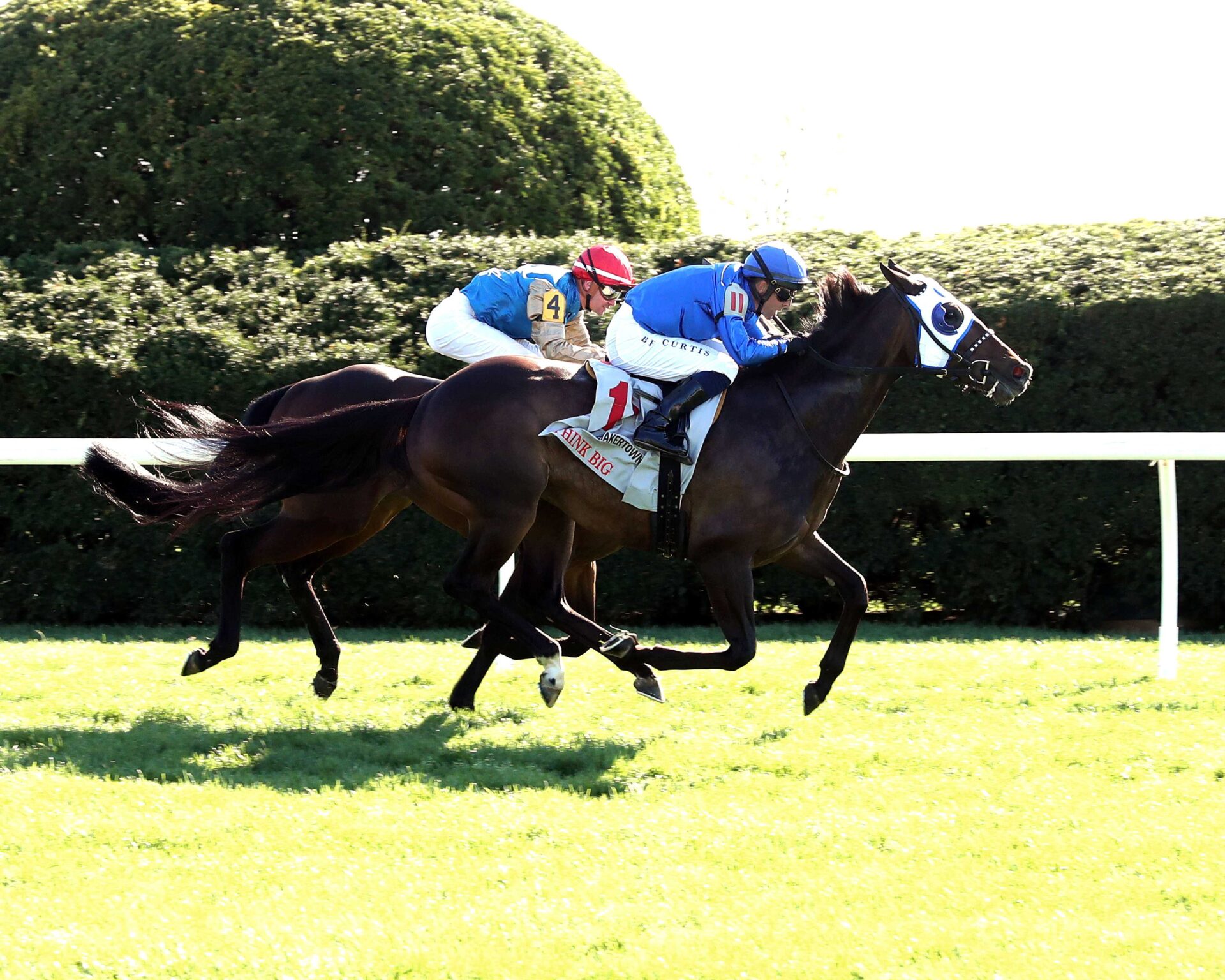Think Big, horse, Godolphin, Shakertown Stakes, martes, 8 de abril de 2025, Keeneland. Foto: Coady Photo
