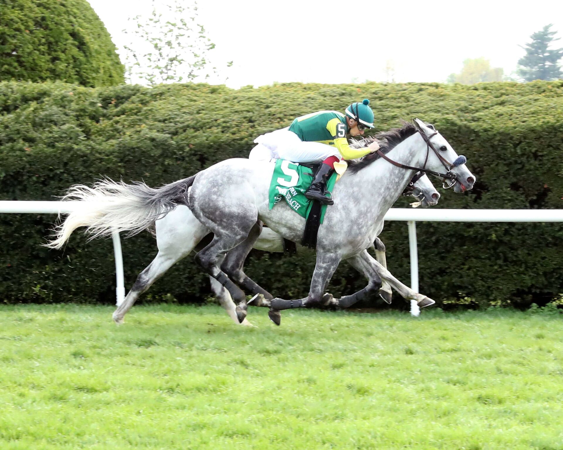 Utah Beach, horse, English Channel, VisitLEX Elkhorn Stakes, sábado, 19 de a bril de 2025, Keeneland. Foto: Coady Media