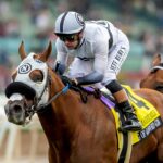 King Of Gosford, Horses, Zoustar, Shoemaker Mile Stakes, lunes, 26 de mayo de 2025, Santa Anita Park. Foto: Benoit Photo
