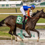 Margie´s Intention, horses, Honor A. P., Maiden Special Weight, sábado, 18 de enero de 2025, Fair Grounds. Foto: Hodges Photography