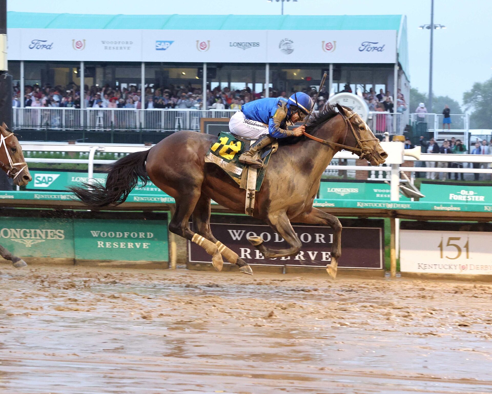 Sovereignty, horse, Godolphin, Kentucky Derby, sábado, 3 de mayo de 2025, Churchill Downs. Foto: Coady Media
