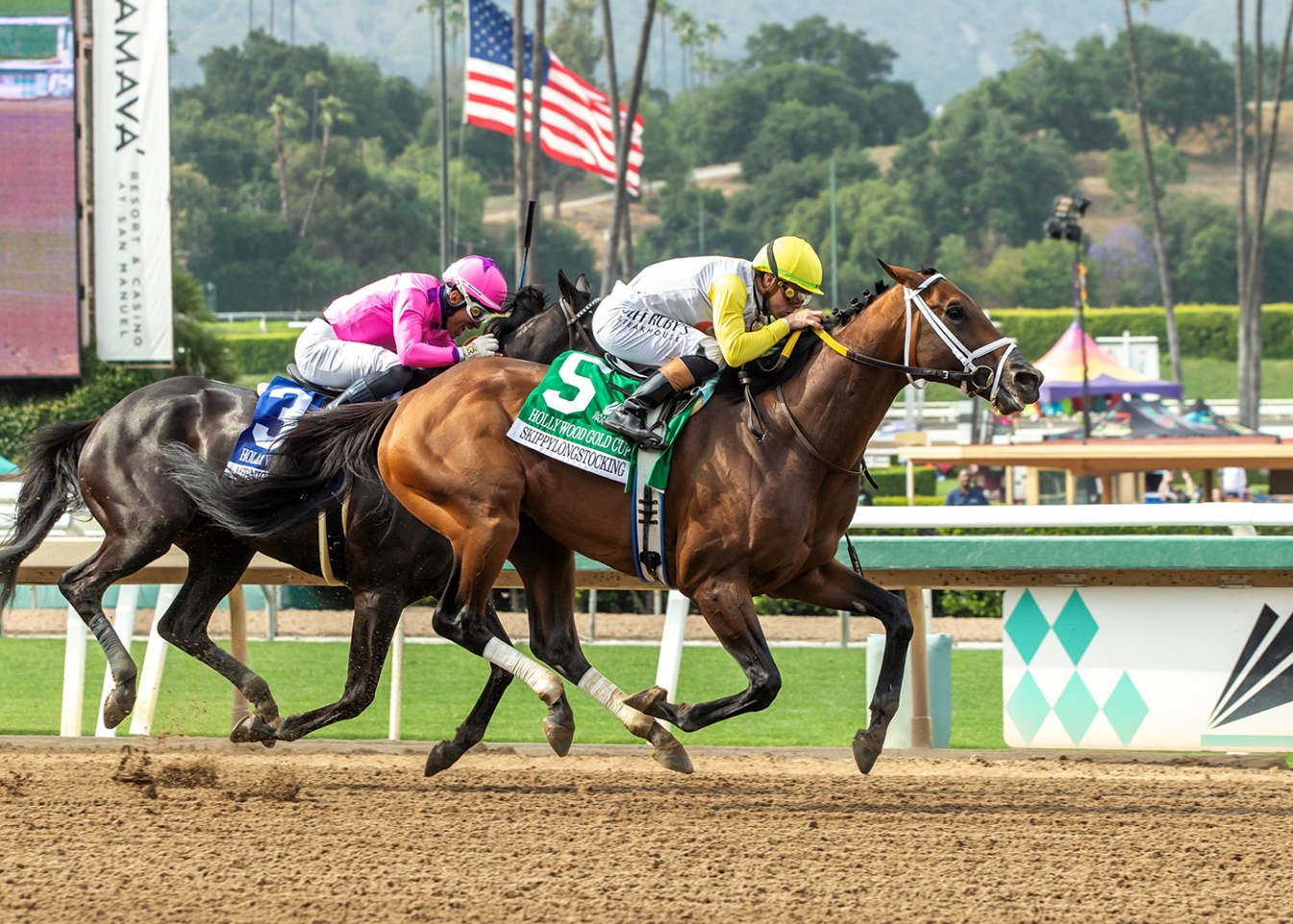 Skippylongstocking, horse, Exaggerator, Hollywood Gold Cup Stakes, lunes, 26 de mayo de 2025, Santa Anita Park. Foto: Benoit Photo