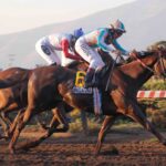 Spazzatura, horses, Constitution, Clásico Gran Premio Hipódromo Chile, sábado, 3 de mayo de 2025, Hipódromo Chile. Foto: Jaime Cortés