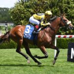 Far Bridge, horse, Calumet Farm, Man o´War Stakes, sábado, 10 de mayo de 2025, Belmont At The Big A. Foto: Coglianese Photo & Susie Raisher