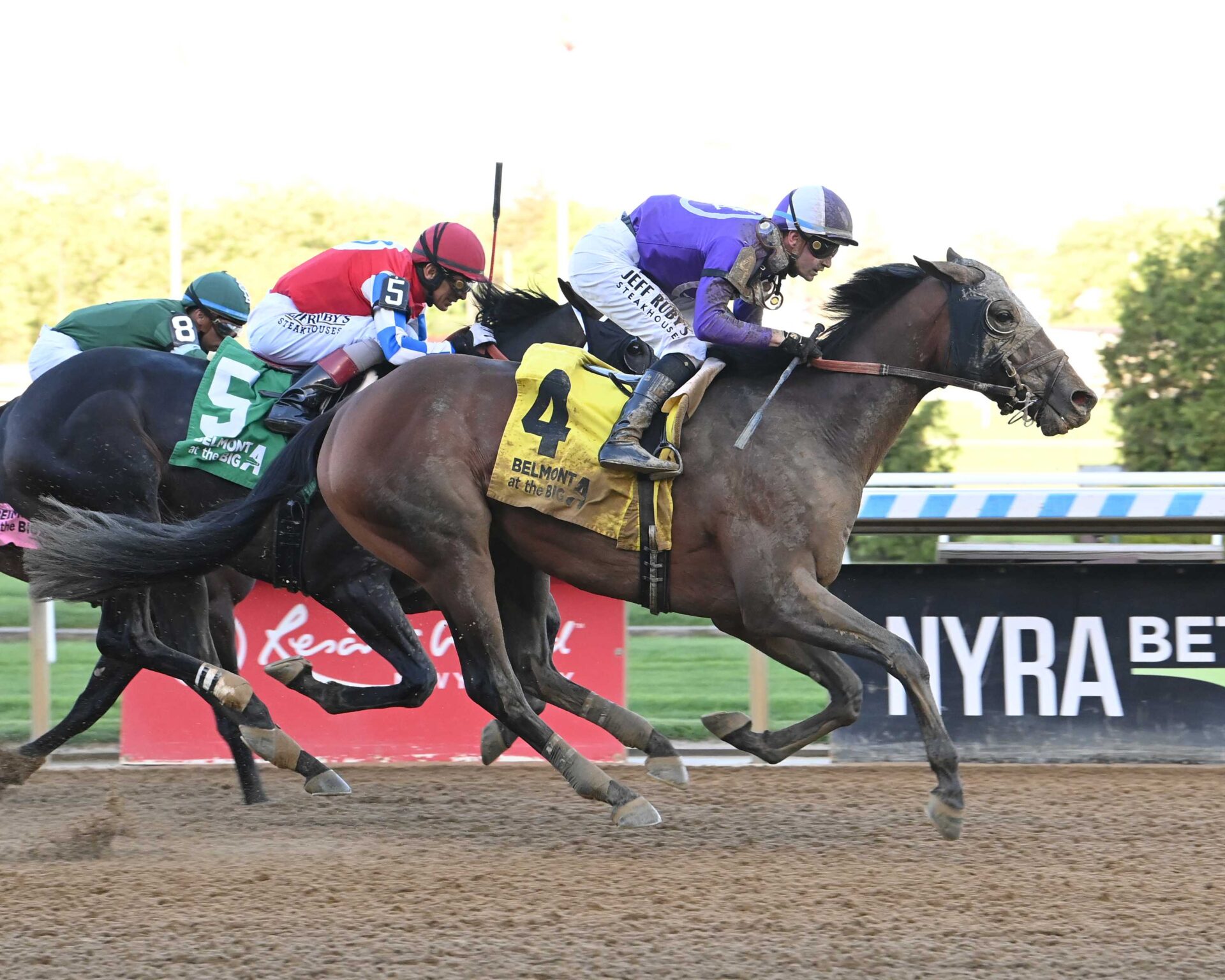 Hill Road, horse, Quality Road, Peter Pan Stakes, sábado, 10 de mayo de 2025, Belmont At The Big A. Foto: Coglianese Photo & Susie Raisher