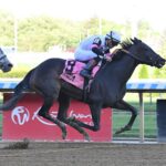 Jody´s Pride, horse, Amarican Pharoah, Ruffian Stakes, sábado, 10 de mayo de 2025, Belmont At The Big A. Foto: Coglianese Photo & Susie Raisher
