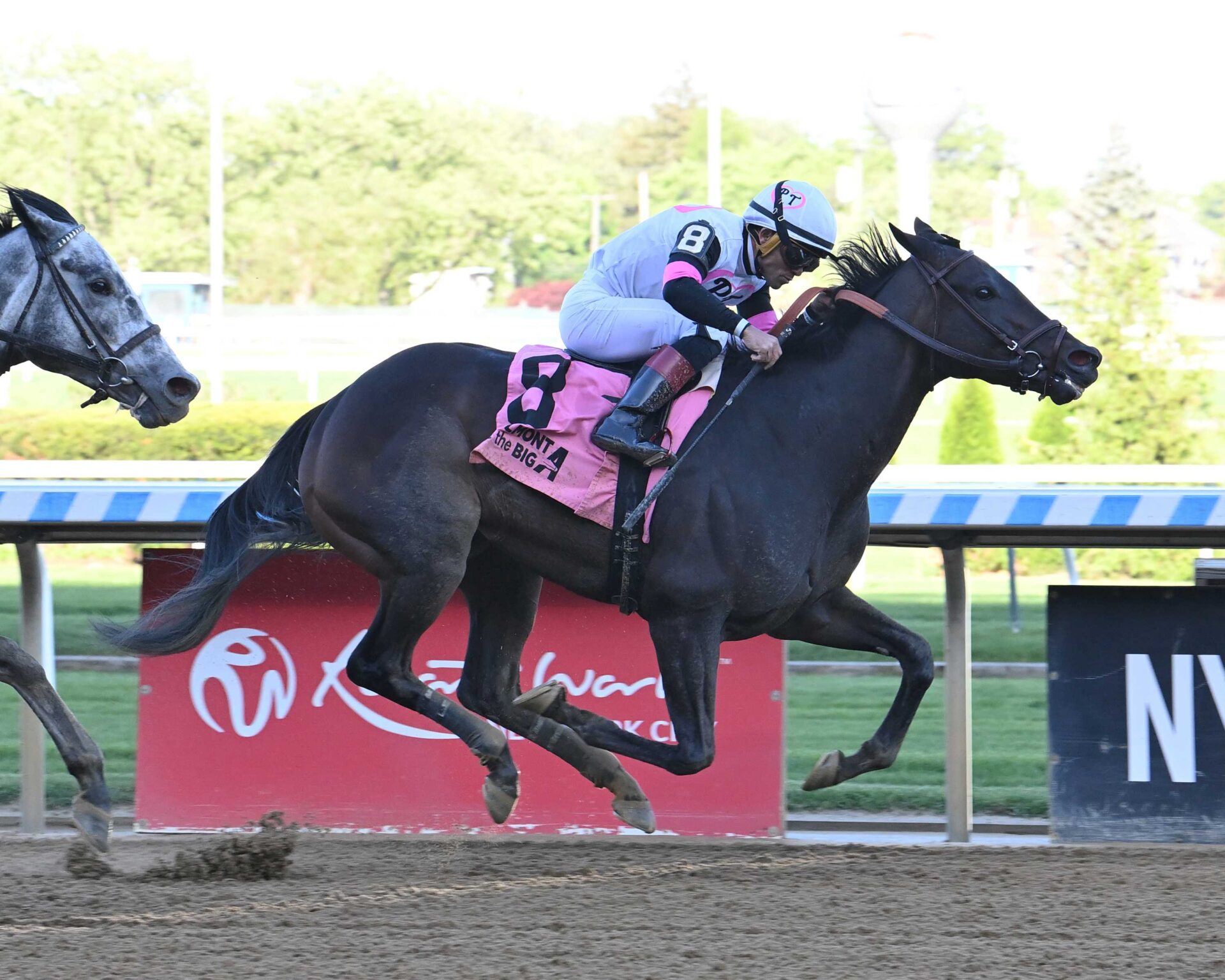 Jody´s Pride, horse, Amarican Pharoah, Ruffian Stakes, sábado, 10 de mayo de 2025, Belmont At The Big A. Foto: Coglianese Photo & Susie Raisher