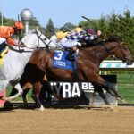Whatchatalkinabout, horse, Dialed In, John A. Nerud Stakes, sábado, 10 de mayo de 2025, Belmont At The Big A. Foto: Coglianese Photo & Susie Raisher