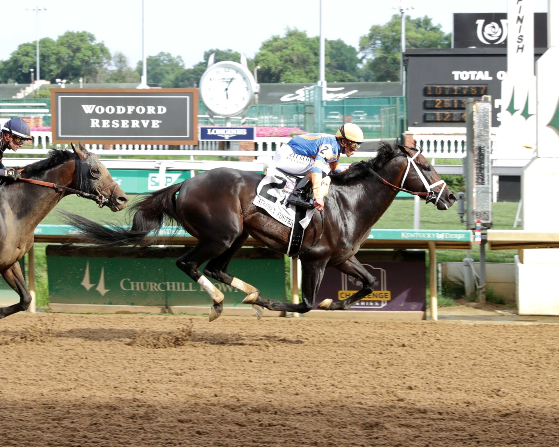 Mindframe, horse, Constitution, sábado, 28 de junio de 2025, Churchill Downs. Foto: Coady Media