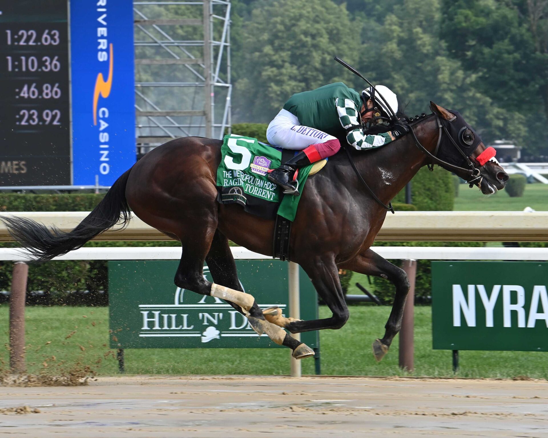 Raging Torrent, horse, Maximus Mischief, Hill ´N´Dale Metropolitan Hándicap, sábado, 7 de junio de 2025, Saratoga. Foto: Coglianese Photo & Susie Raisher