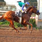Churruco, horse, Classic Empire, Clásico Domingo 2º Herrera, sábado, 19 de julio de 2025, Hipódromo Chile. Foto: Jaime Cortés
