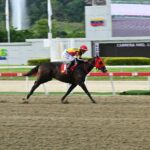 Fast Sensations, horse, Haras Los Caracaros, Clásico Armada Militar, domingo, 20 de julio de 2025, La Rinconada. Foto: José Antonio Aray