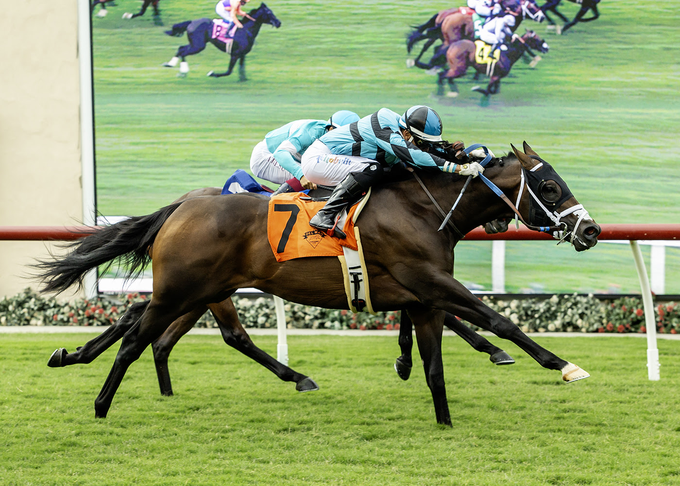 Game Warrior, Horses, Game Winner, Caesars Sportsbook Oceanside Stakes, viernes, 18 de julio de 2025, Del Mar. Foto: Benoit Photo