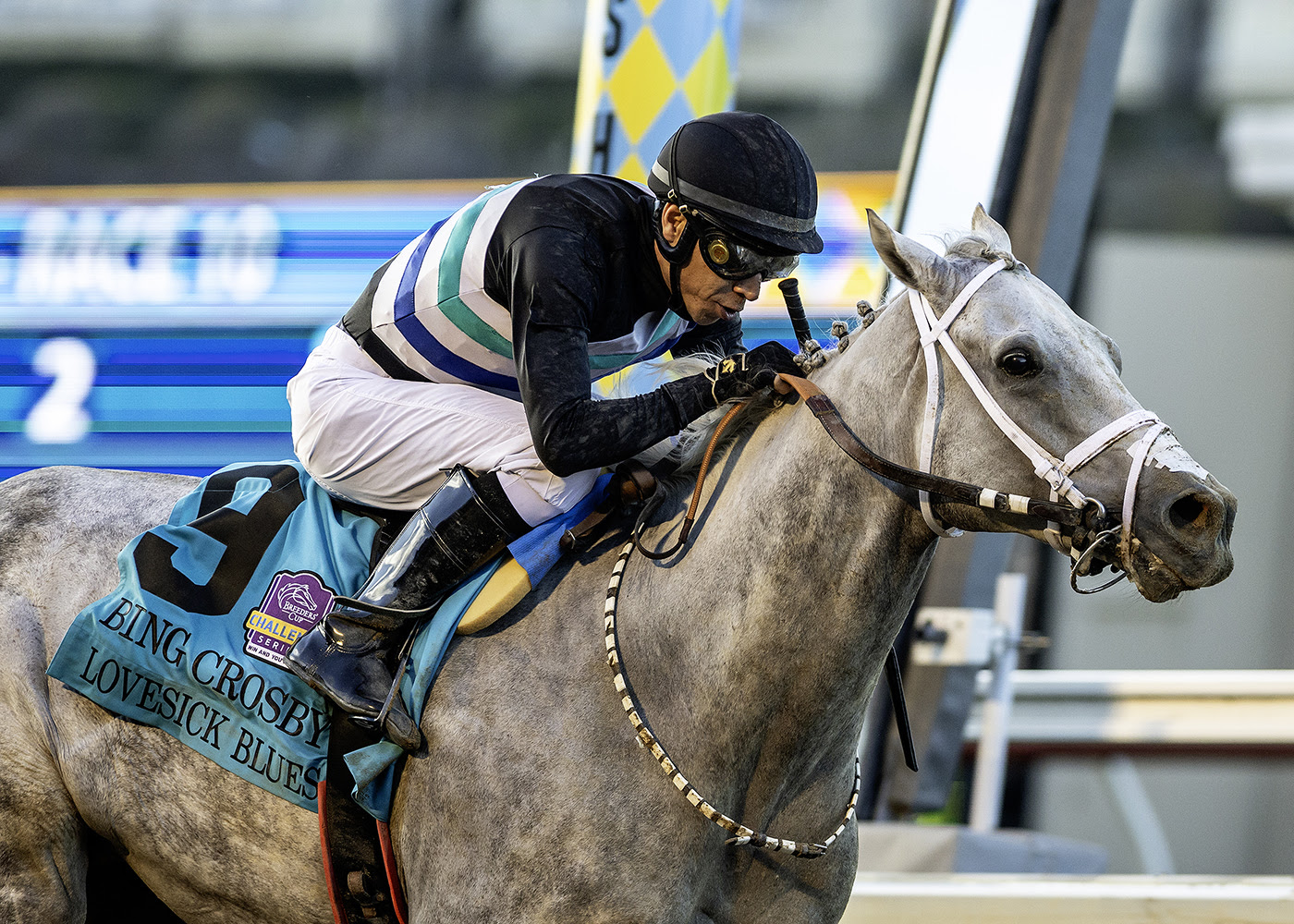 https://zonahipica.com/usa/the-chosen-vron-sigue-sensacional-con-berrios-y-gano-el-bing-crosby-stakes/