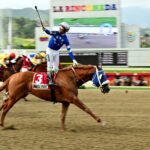 Maple Grove, horse, Haras Montesano, Clásico Cría Nacional, domingo, 6 de julio de 2025, La Rinconada. Foto: José Antonio Aray