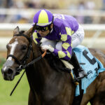 Medoro, Horses, Honor Code, Osunitas Stakes, domingo, 20 de julio de 2025, Del Mar. Foto: Benoit Photo