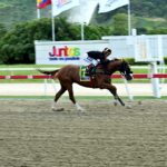 Pádel, horse, A. P. Xcellent, Clásico FAN, domingo, 6 de julio de 2025, La Rinconada. Foto: José Antonio Aray