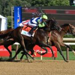 Chancer McPatrick, horses, McKinzie, Curlin Stakes, jueves, 24 de julio de 2025, Saratoga. Foto: Coglaniese Photo & Susie Raisher