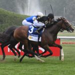 Daisy Flyer, horse, Calumet Farm, Lake Goerge Stakes, sábado, 28 de julio de 2025, Saratoga. Foto: Coglaniese Photo & Susie Raisher