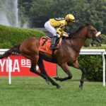 Far Bridge, horse, Calumet Farm, Bowling Green Stakes, sábado, 12 de julio de 2025, Saratoga. Foto: Coglaniese Photo & Susie Raisher