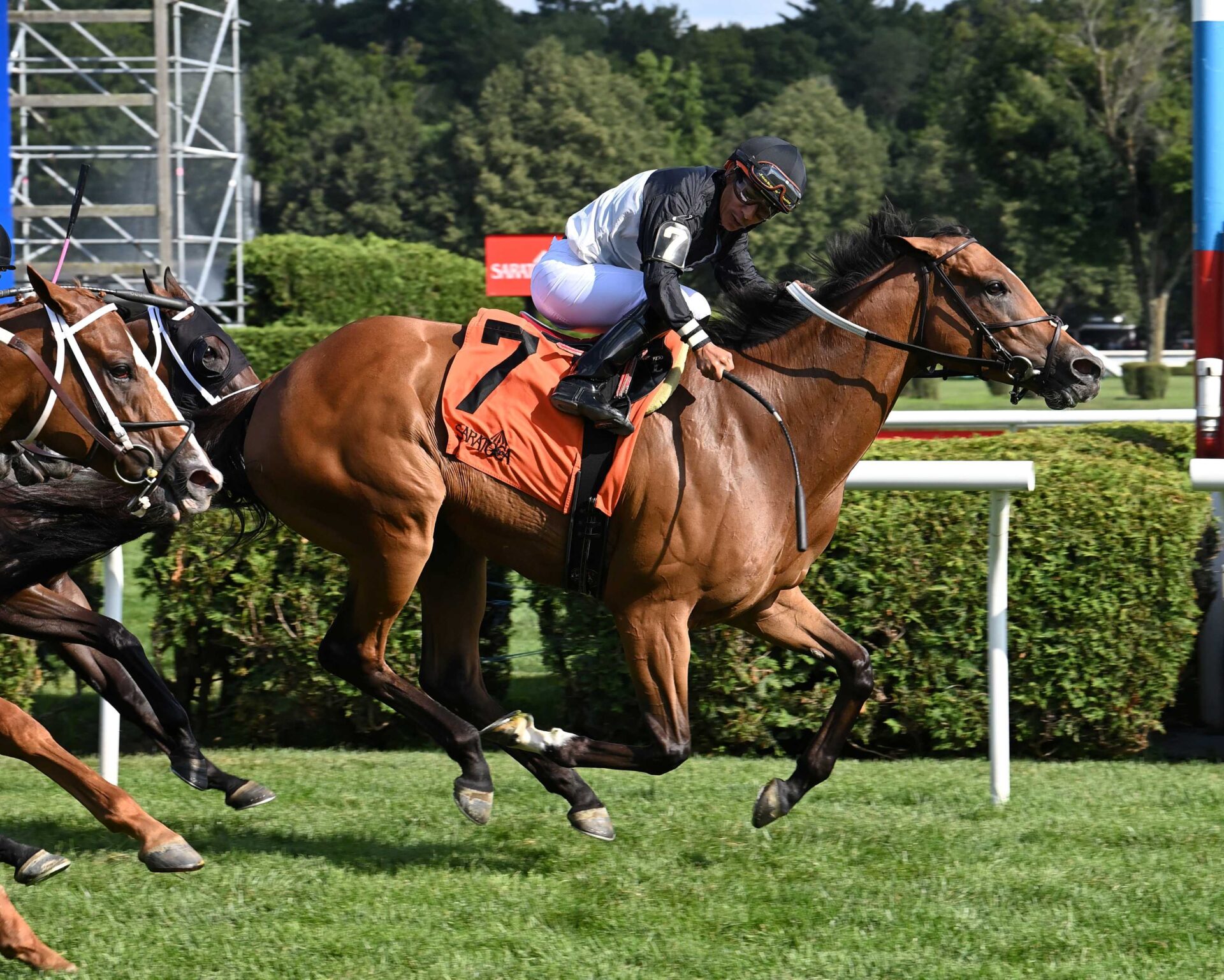 Future Is Now, horses, Great Notion, Caress Stakes, viernes, 19 de julio de 2025, Saratoga. Foto: Coglaniese Photo & Susie Raisher