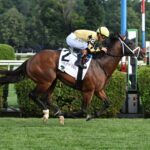 Governor Sam, horses, Stoneriggs Farm, Quick Call Stakes, domingo, 13 de julio de 2025, Saratoga. Foto: Coglianese Photo &Chelsea Durand