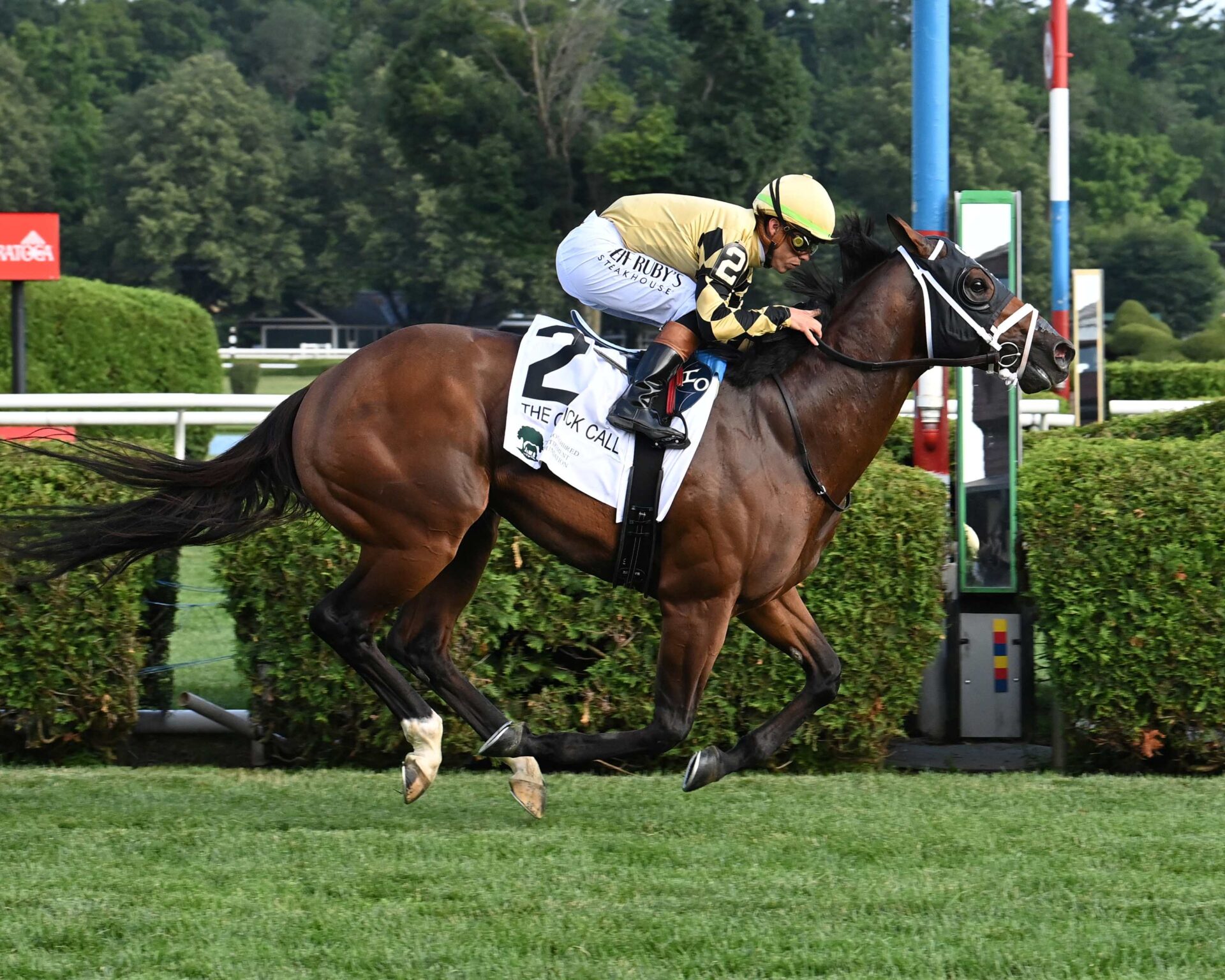 Governor Sam, horses, Stoneriggs Farm, Quick Call Stakes, domingo, 13 de julio de 2025, Saratoga. Foto: Coglianese Photo &Chelsea Durand